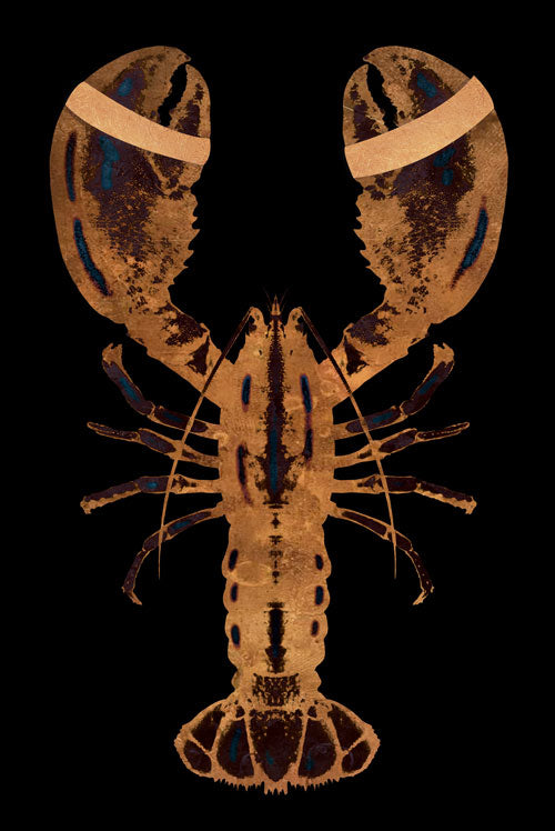 Lobster Black Verticaal- plexiglas schilderij - kunst